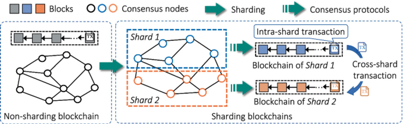 Diagram showing blockchain sharding, where a network is split into multiple shards that process transactions in parallel instead of a single chain processing all transactions.