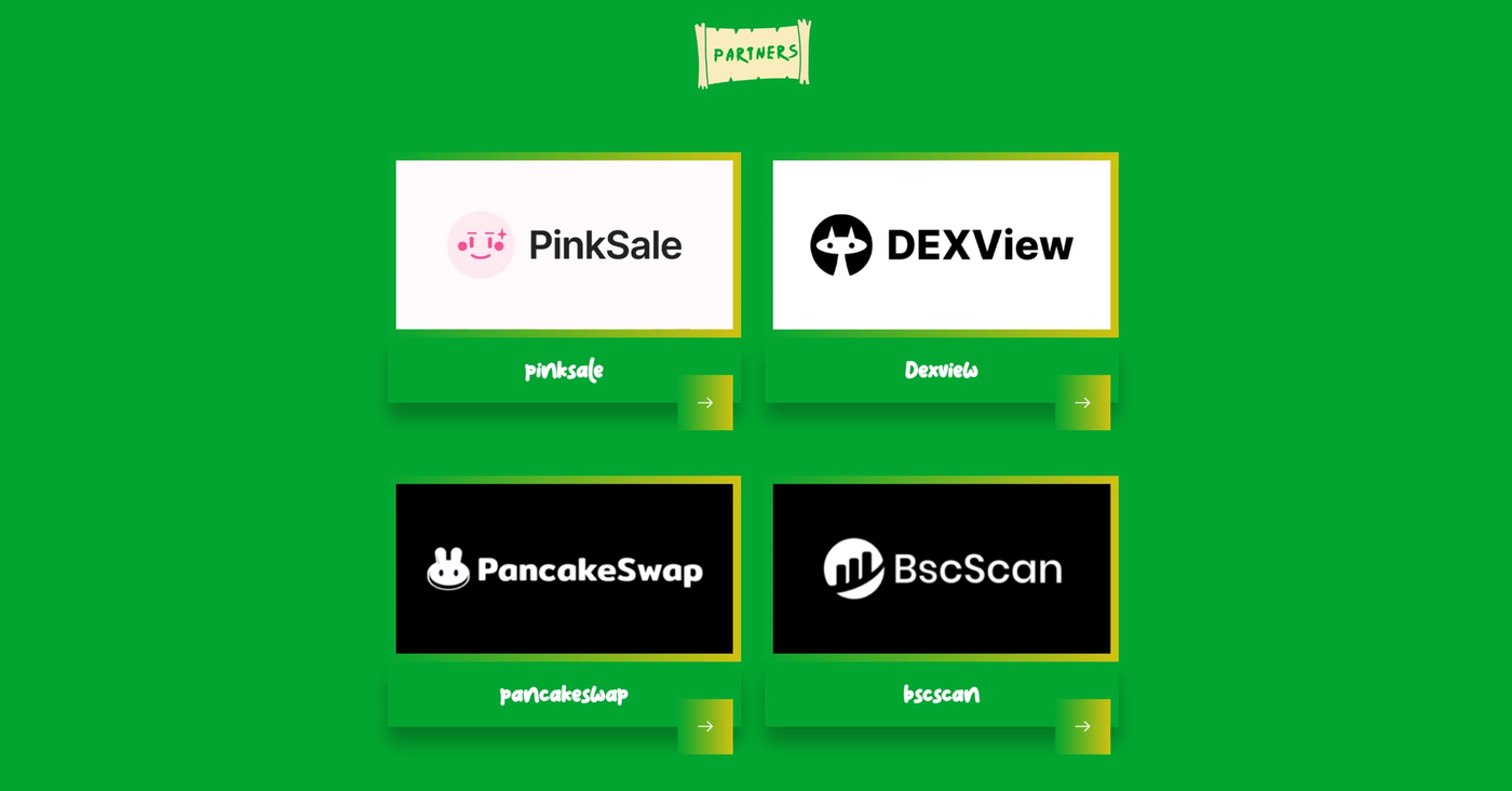 On a green background, the title 'PARTNERS' appears above four squares, each containing different text: PinkSale, DEXView, PancakeSwap, and BscScan