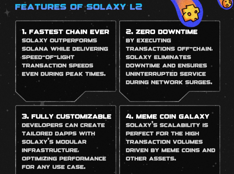 creenshot of Solaxy's eight-page whitepaper, raising concerns about its lack of detail