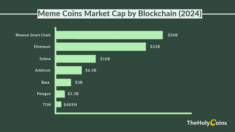 Horizontal bar chart displaying the top meme coins' market cap by blockchain in 2024, set against a dark green background. Each bar represents a different blockchain, illustrating the market cap for meme coins hosted on platforms such as Binance Smart Chain, Ethereum, Solana, and others