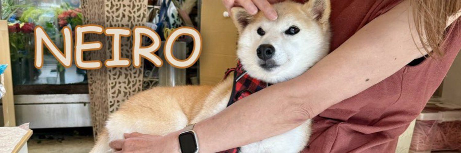 Cover Image for Neiro Meme Coin: Everything You Need to Know