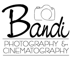 bandi logo