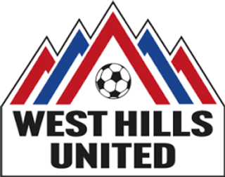 soccer logo 