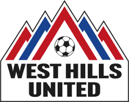 soccer logo