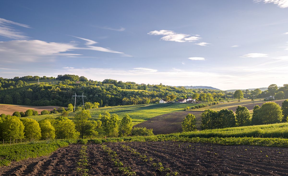 Paysage de champs et de bocage