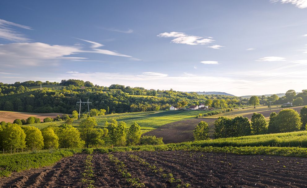 Paysage de champs et de bocage