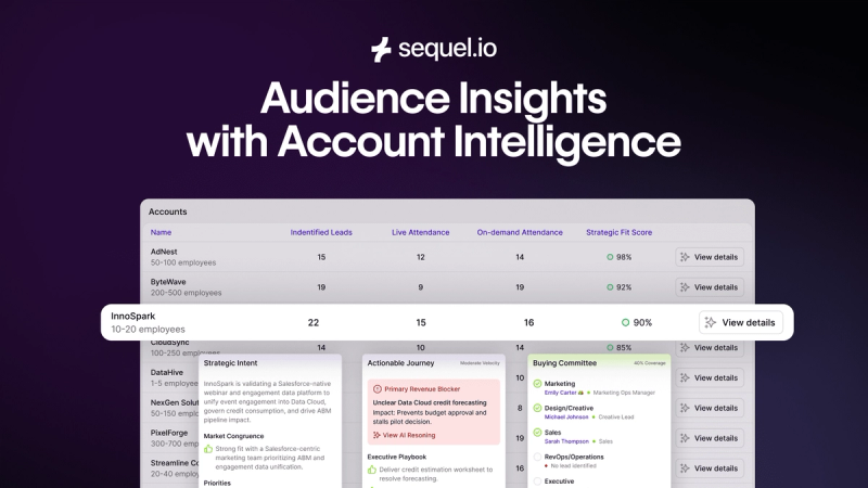 Audience Insights with Account Intelligence