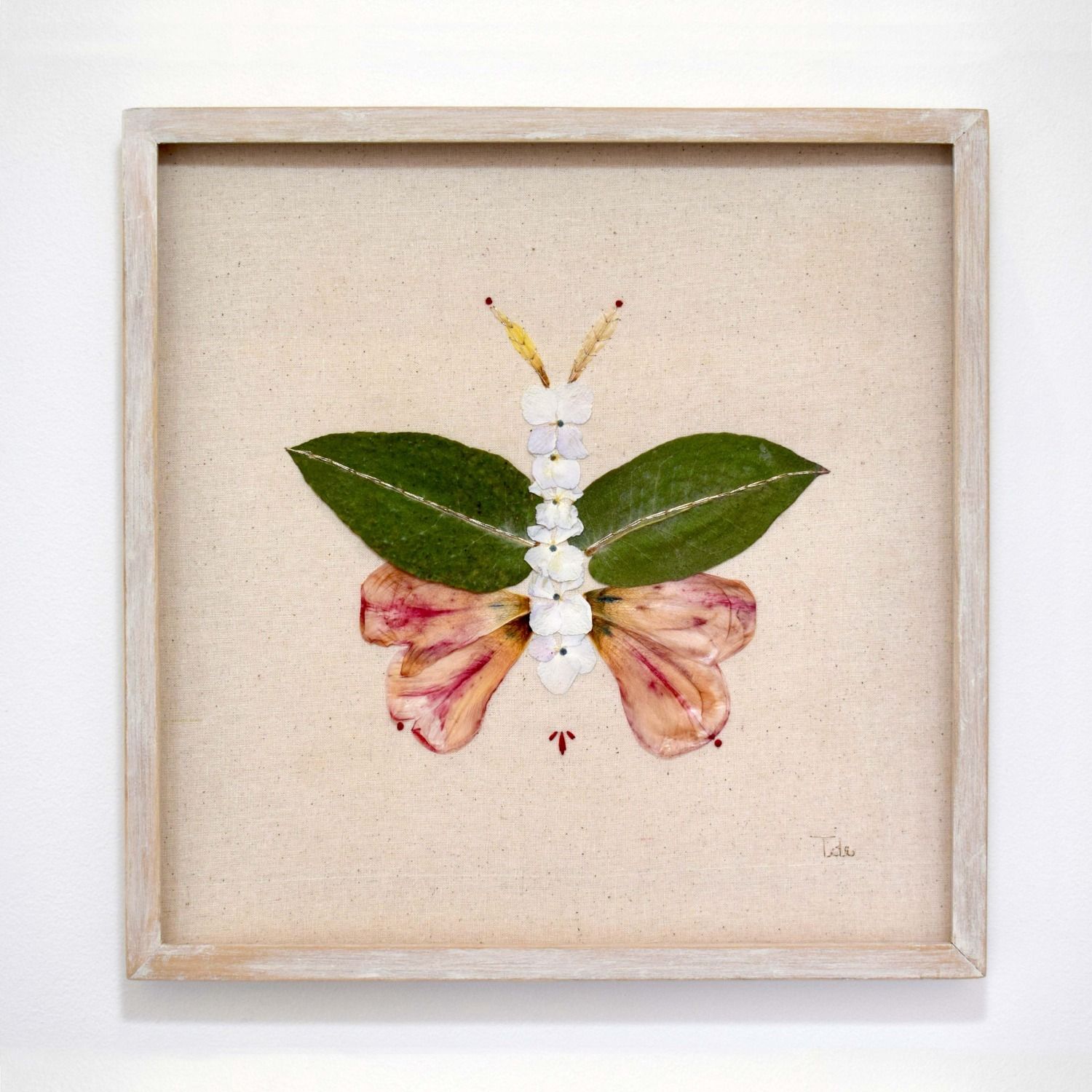 Insecto 11