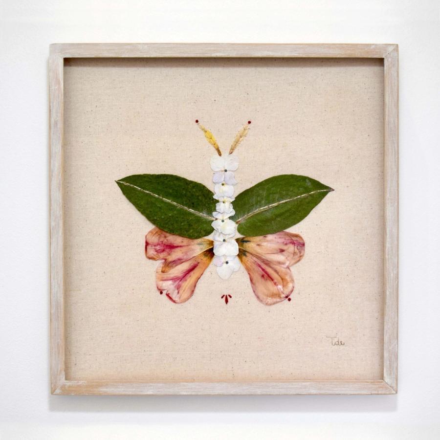 Insecto 11