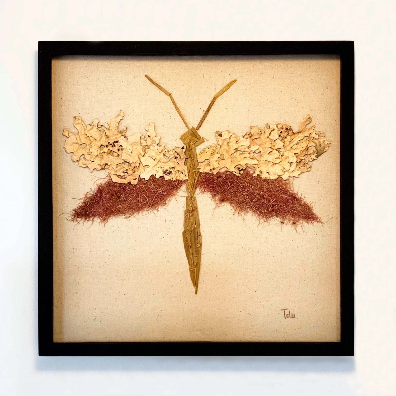 Insecto Madera 2
