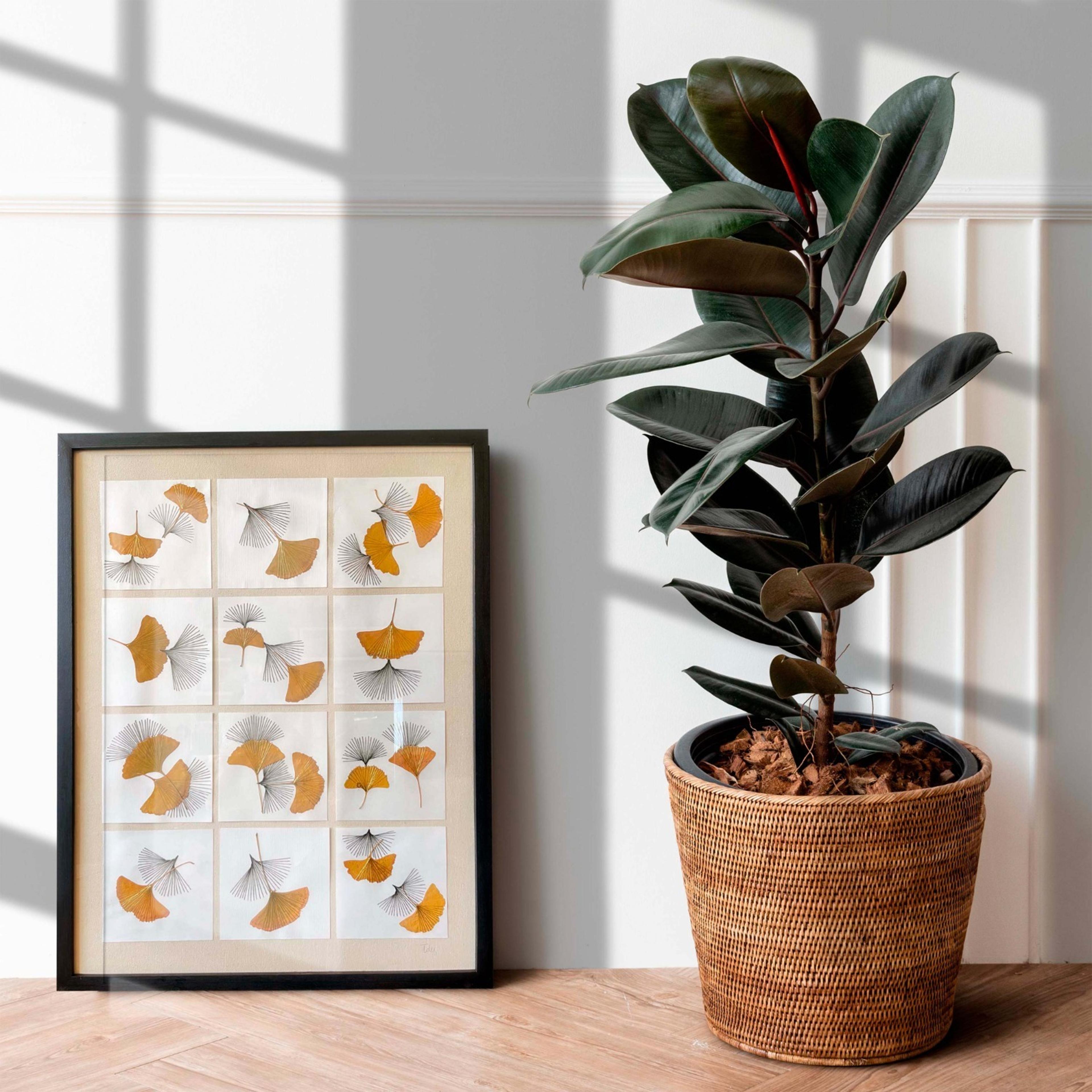 Ginkgo Biloba bordado 2
