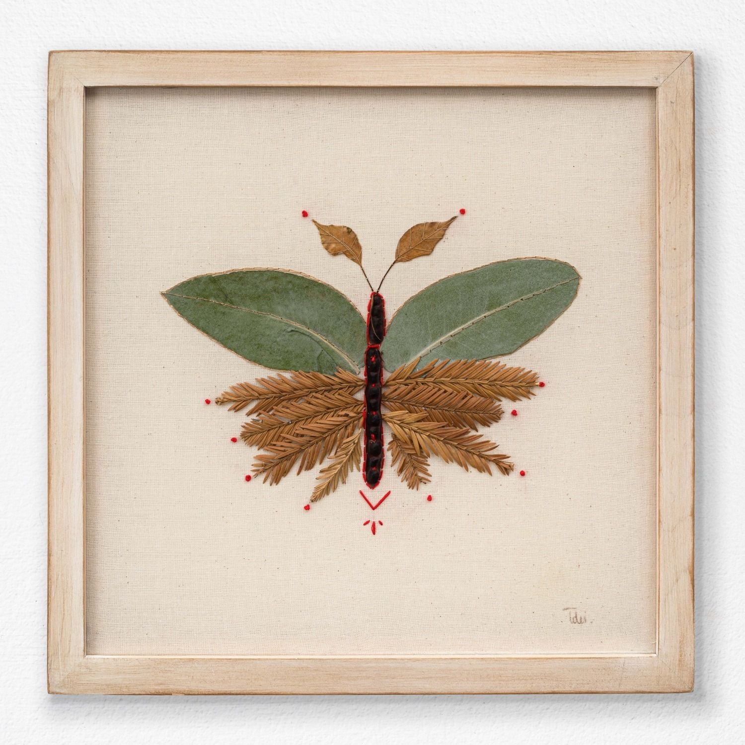 Insecto 1