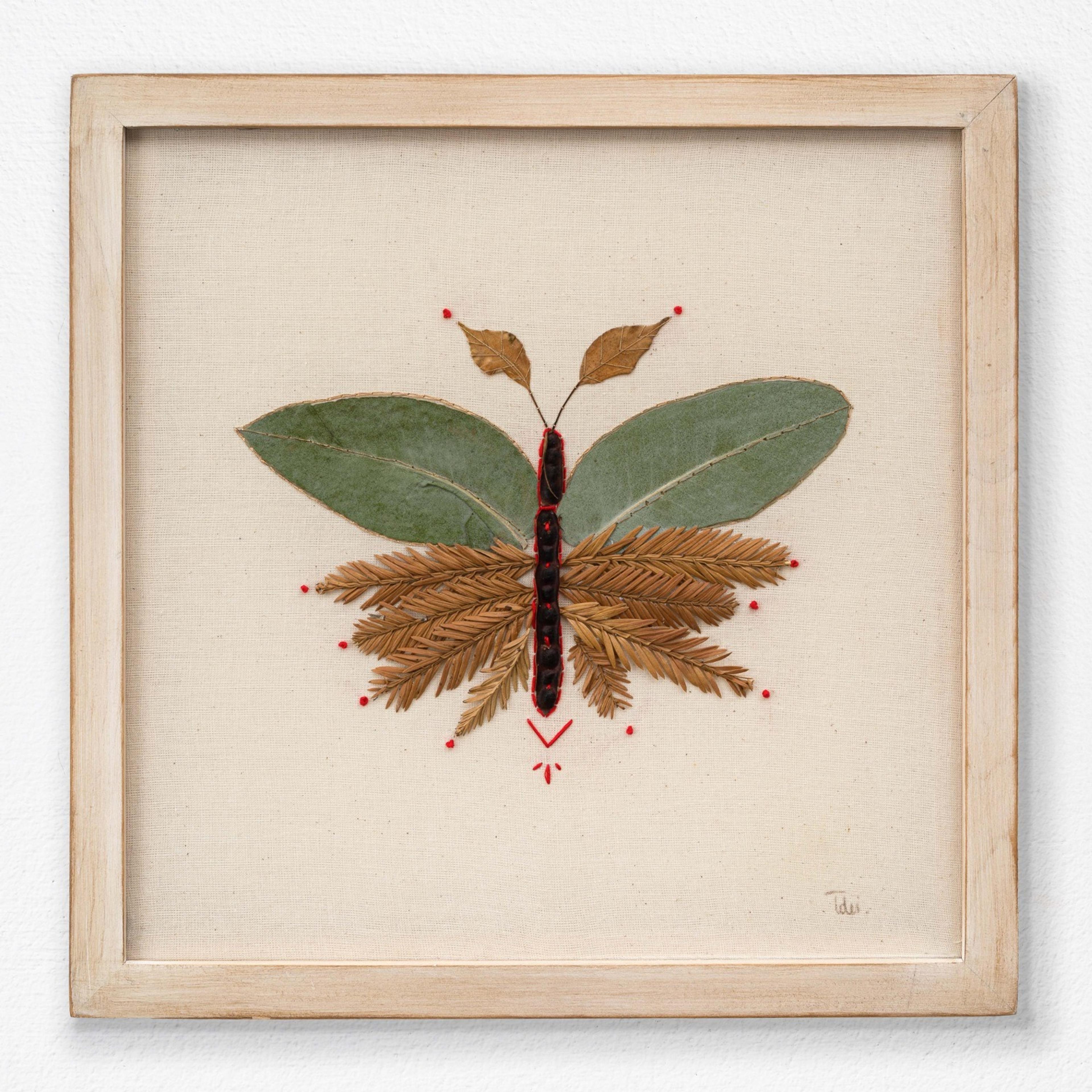 Insecto 1