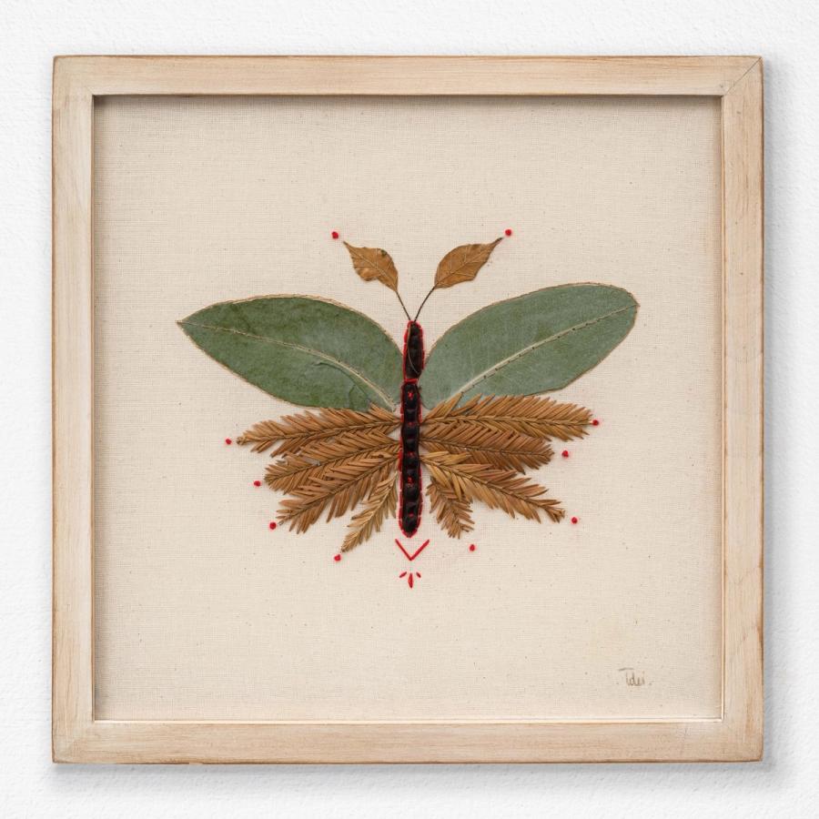 Insecto 1