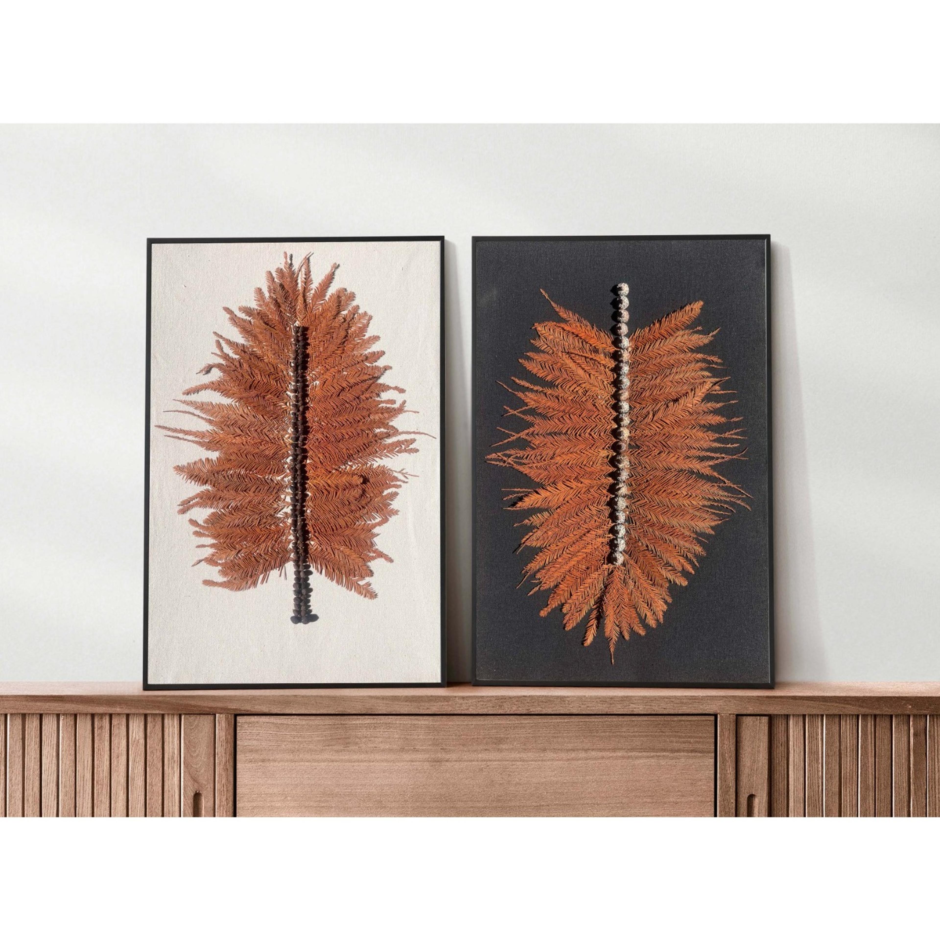 Plumas Espiga