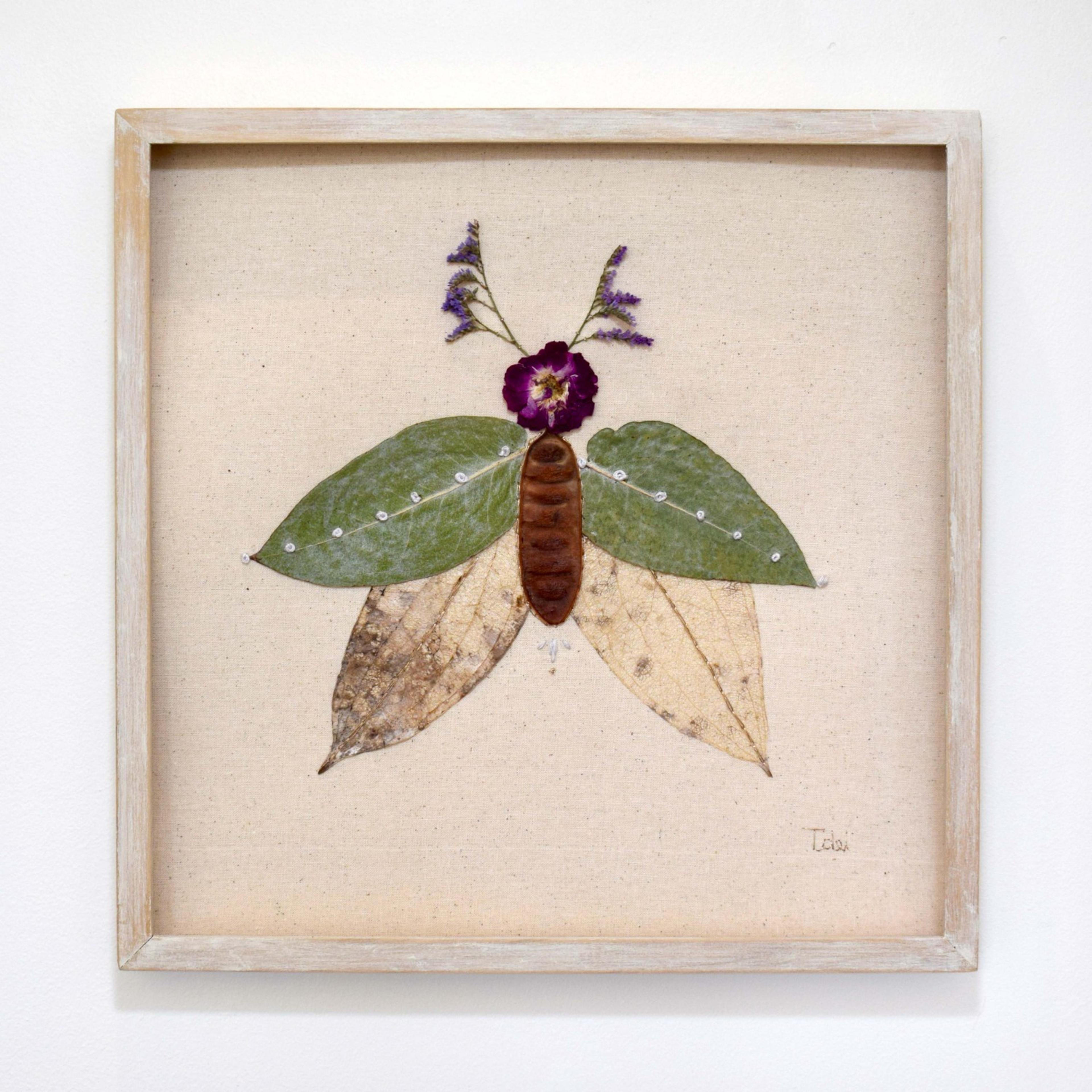 Insecto 15