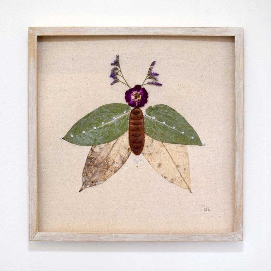 Insecto 15