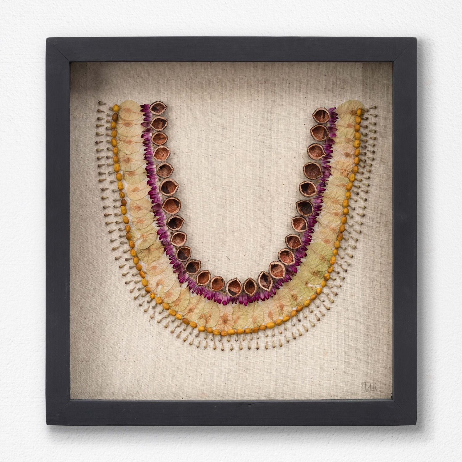 Collar 1