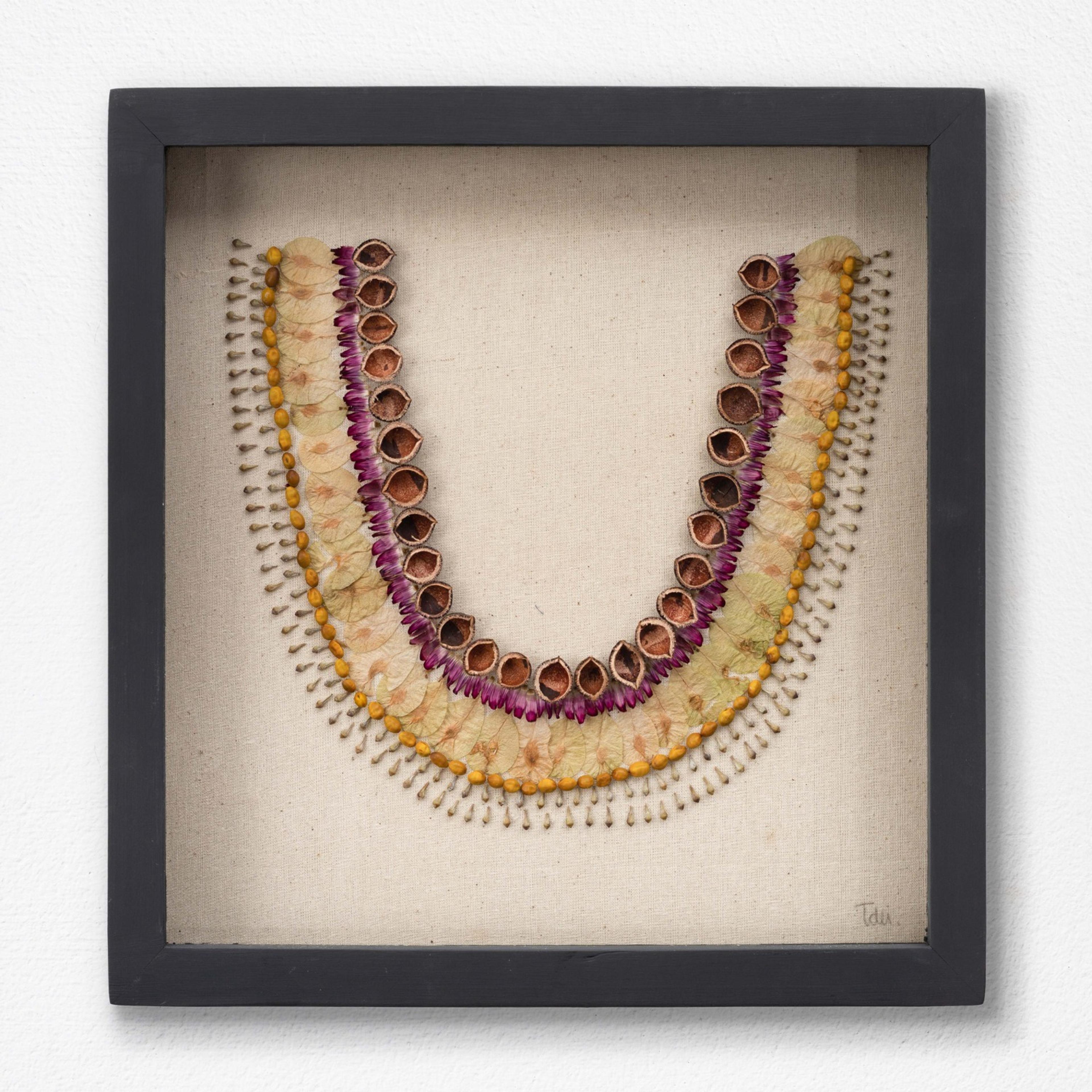 Collar 1