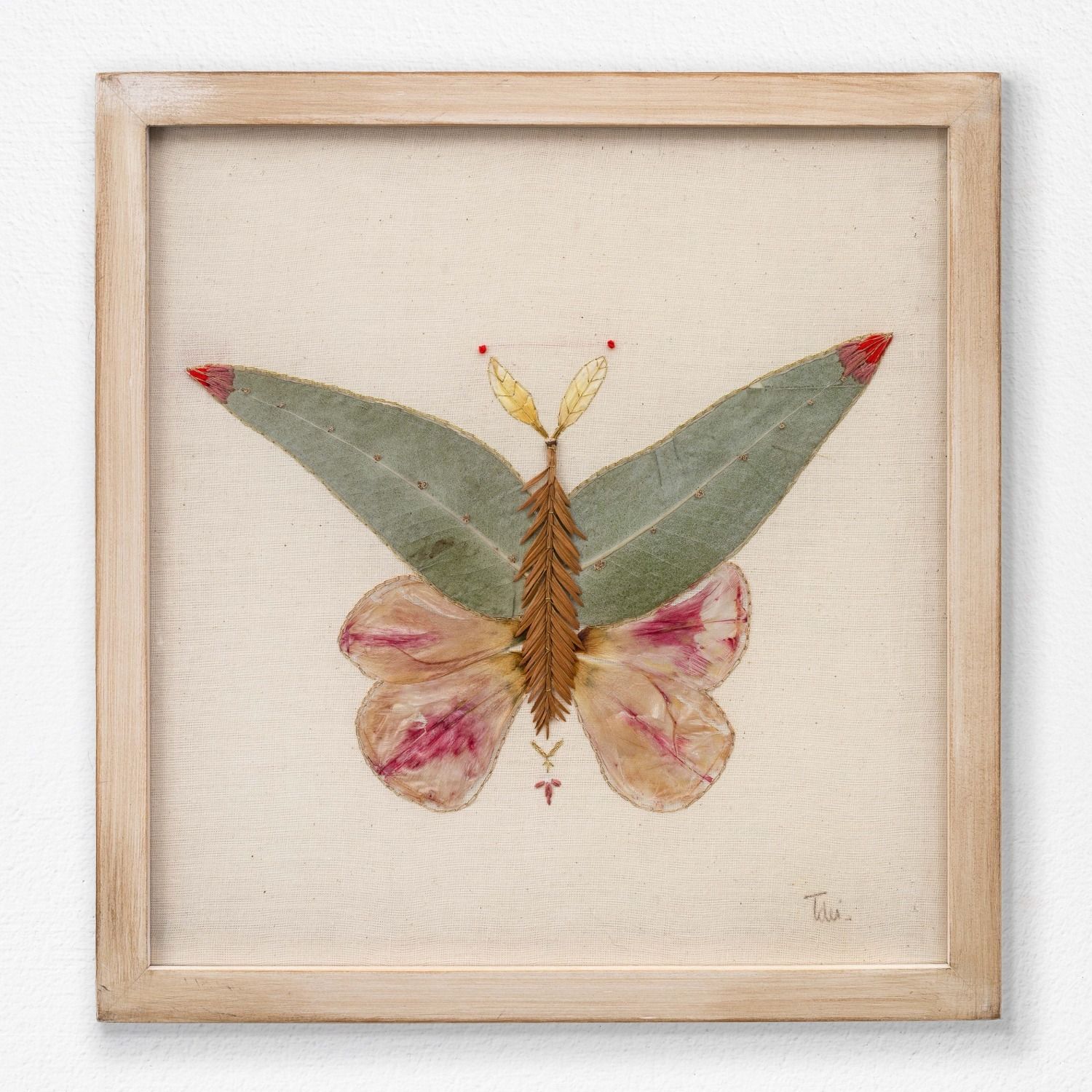 Insecto 8