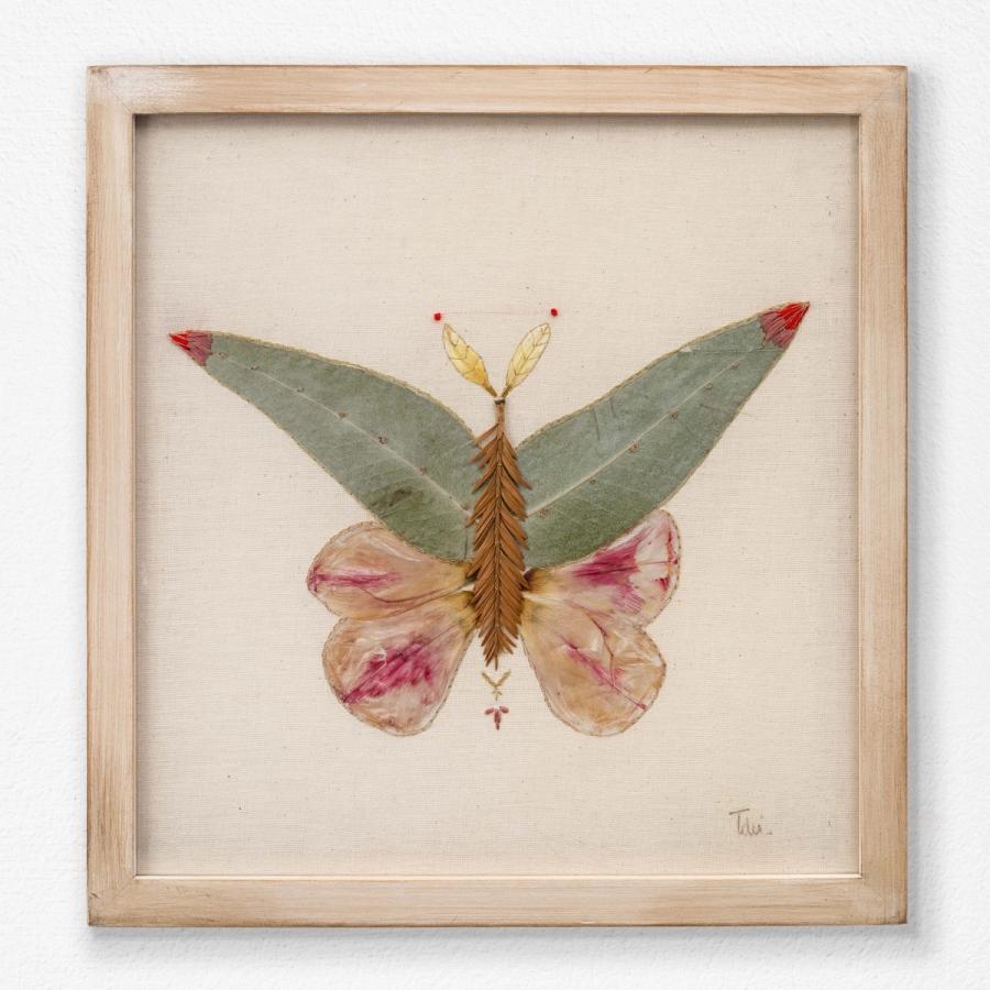 Insecto 8