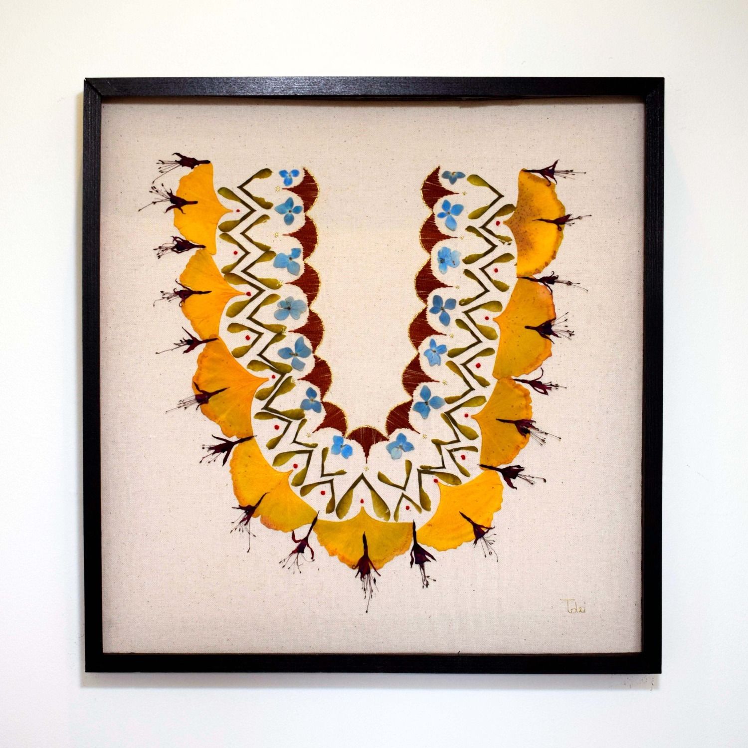 Collar 6