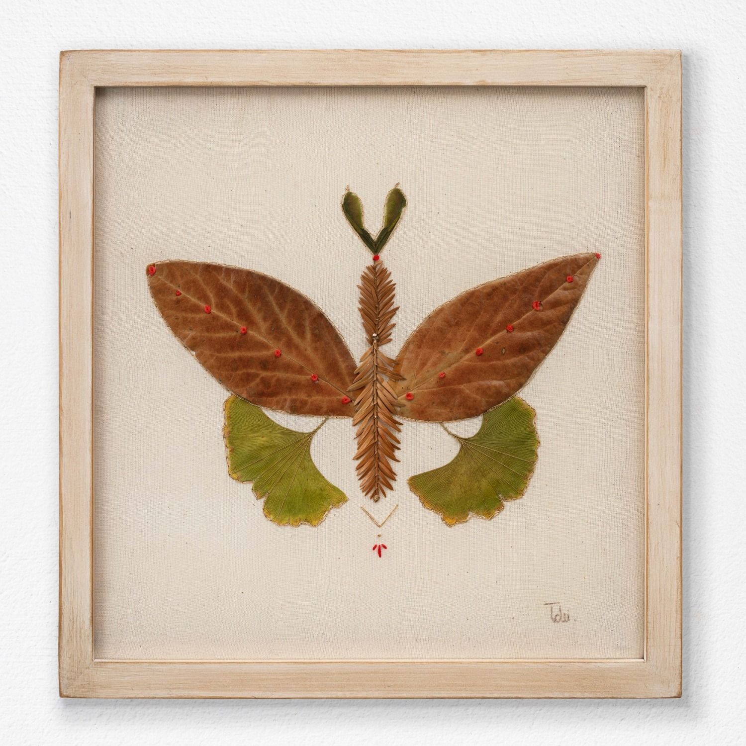 Insecto 5