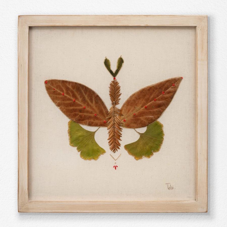 Insecto 5