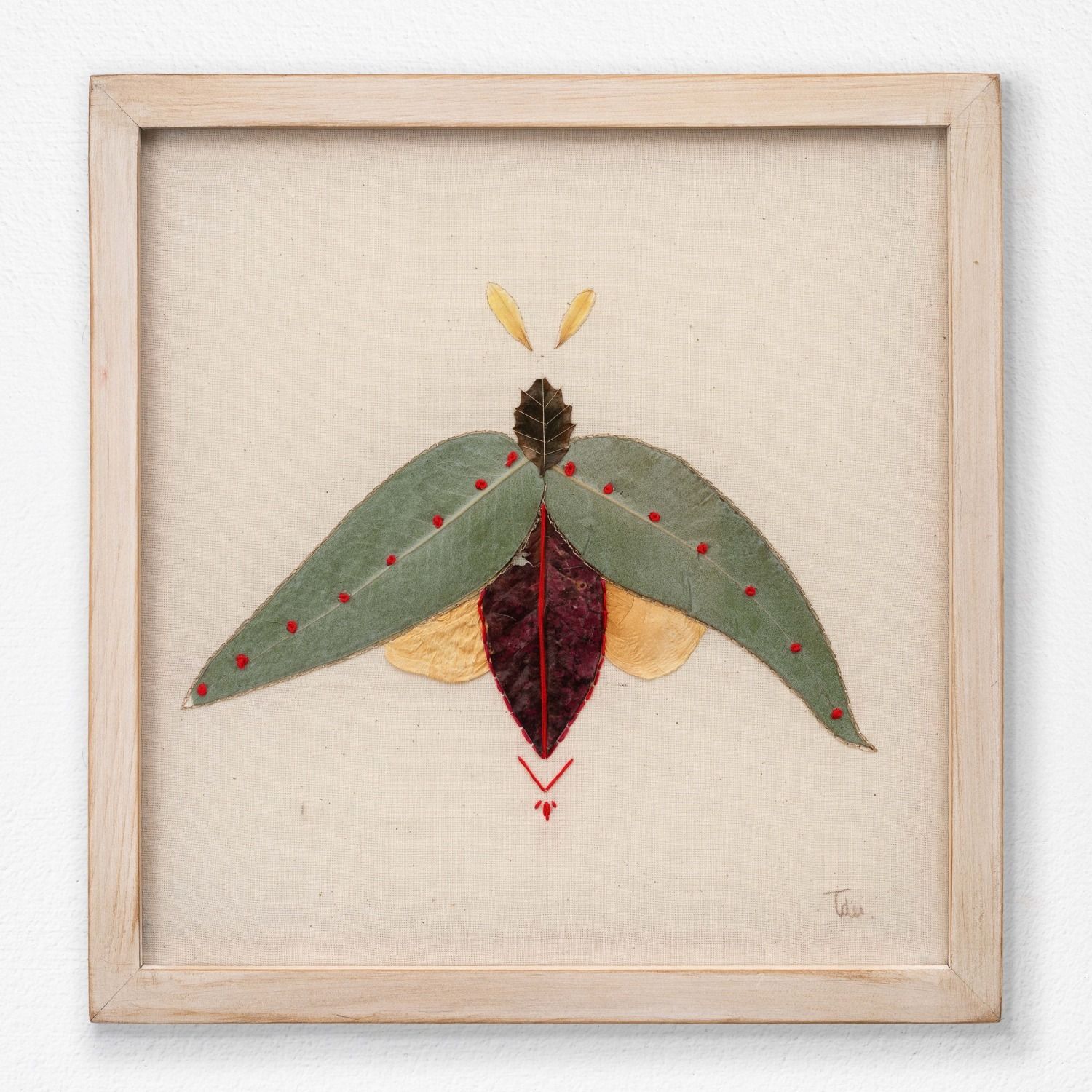 Insecto 6