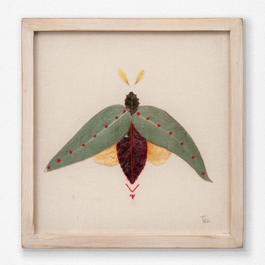 Insecto 6