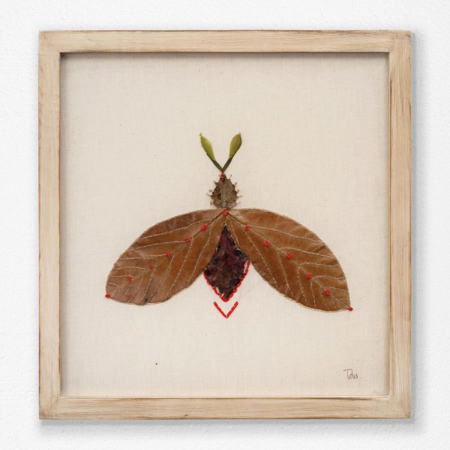 Insecto 4