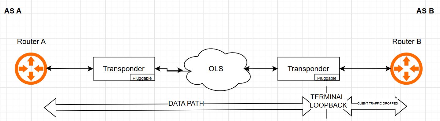 terminal loopback diagram