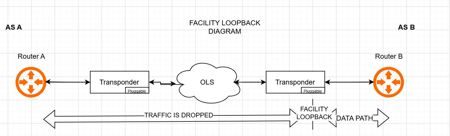 facility loopback diagram