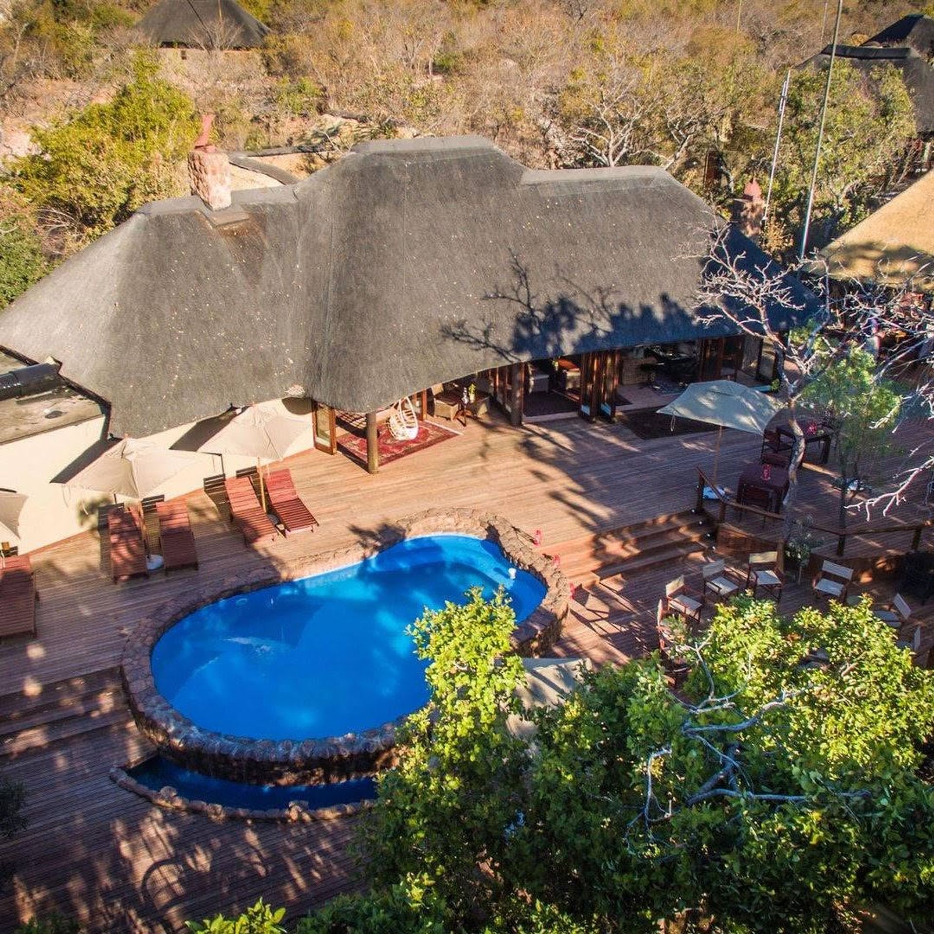 Why Welgevonden Game Reserve Should Be Your First Luxury Safari in South Africa