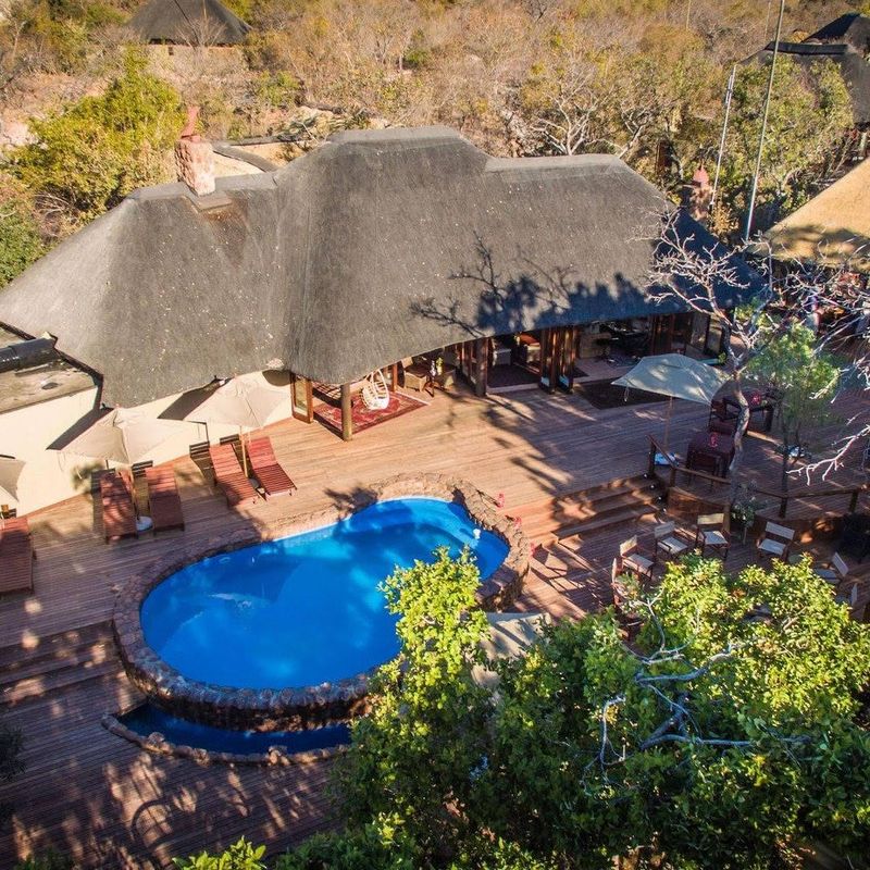 Why Welgevonden Game Reserve Should Be Your First Luxury Safari in South Africa