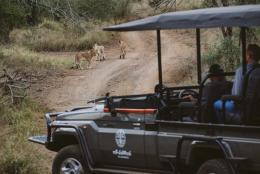 Mthembu Lodge, mFulaWozi Wilderness image 5