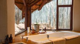 Tshwene Lodge image 3