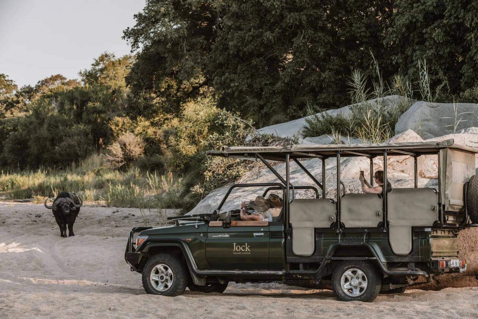 Jock Safari Lodge