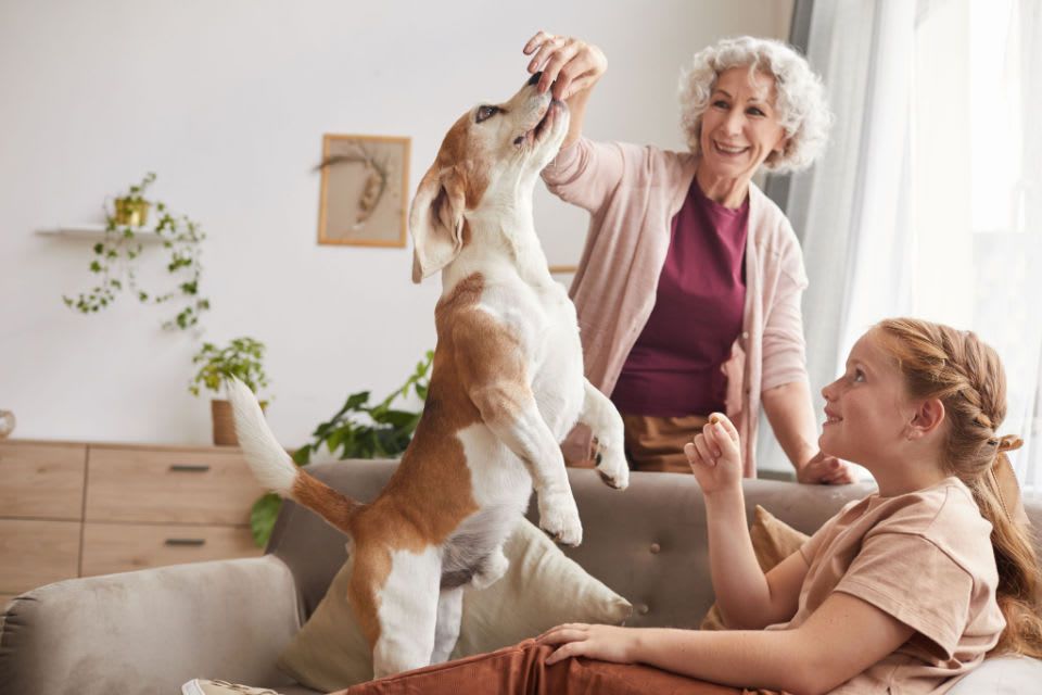 A senior woman and a young girl feeding treats to a dog