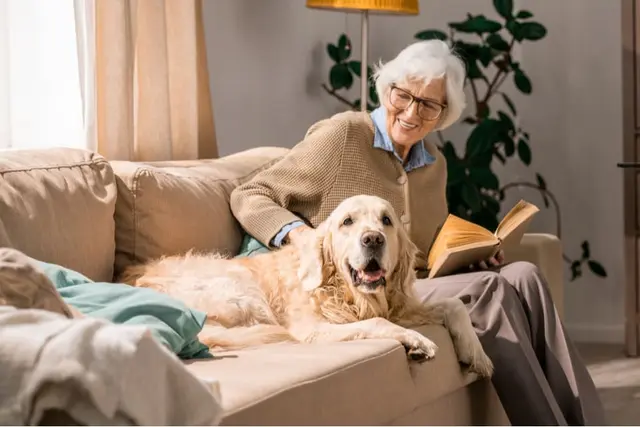 Elderly lady sitting on couch holding book with one hand and petting golden retriever with the other hand.