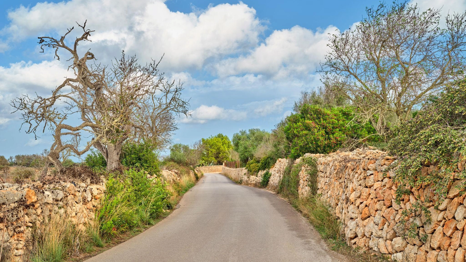 Quiet Places in Mallorca Beyond the Obvious