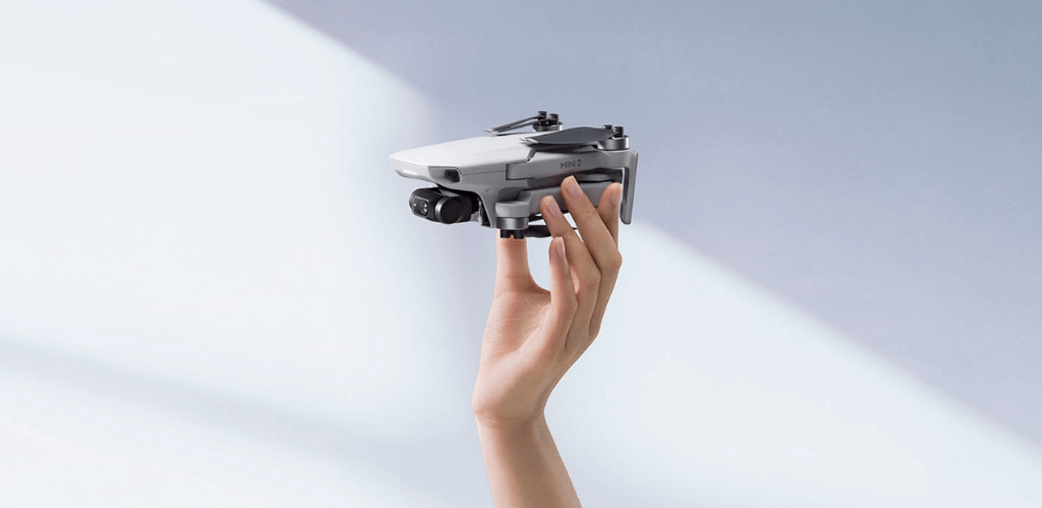 Both the DJI Mini 2 and Mavic Mini can capture 12MP images.