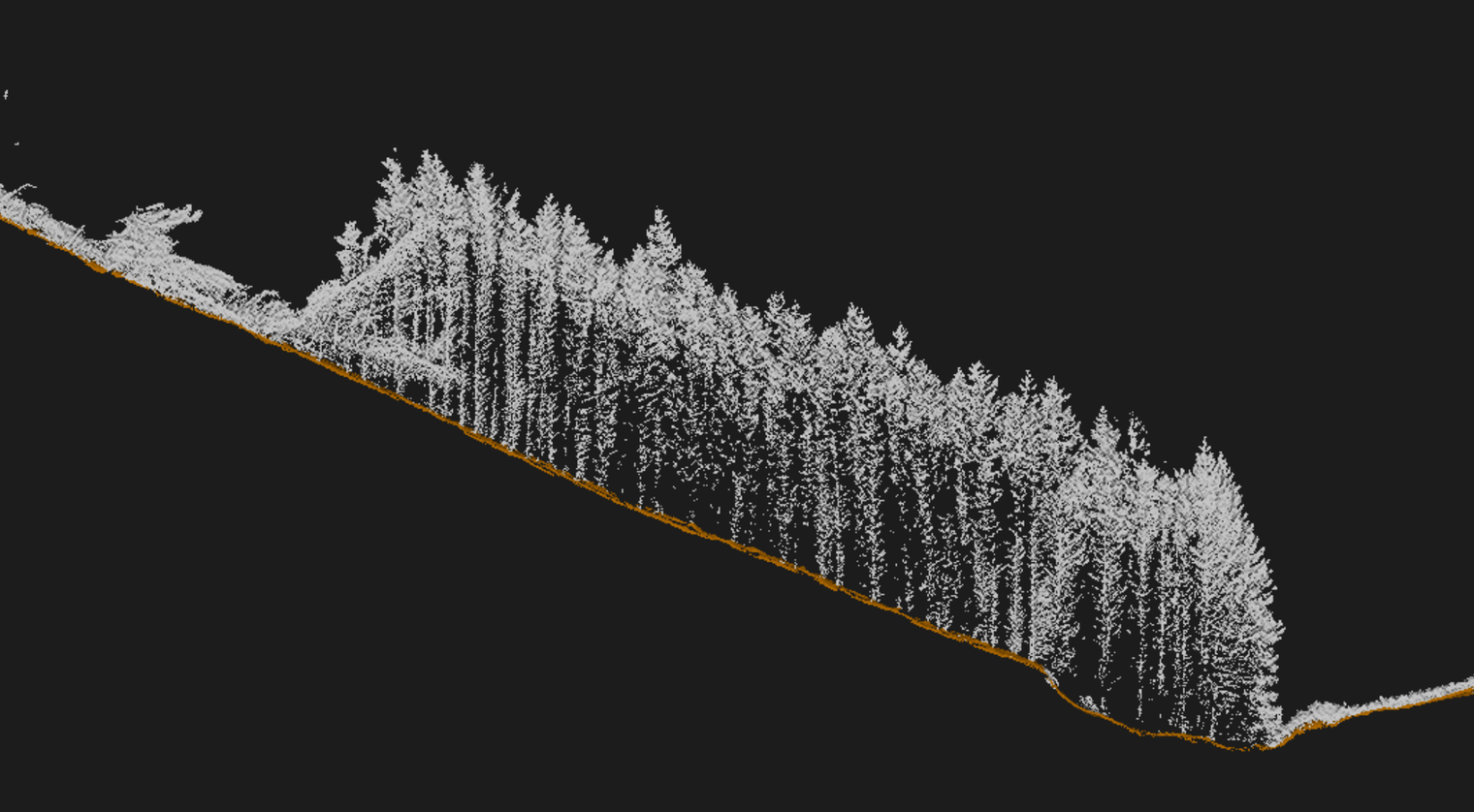 l3 forestry blog 2