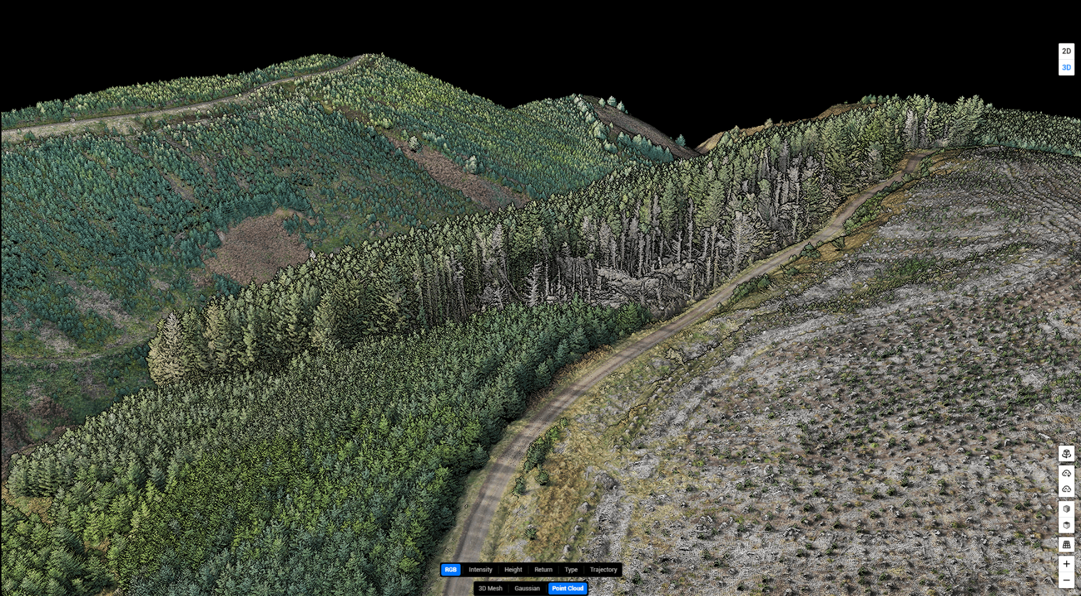 l3 forestry blog 6