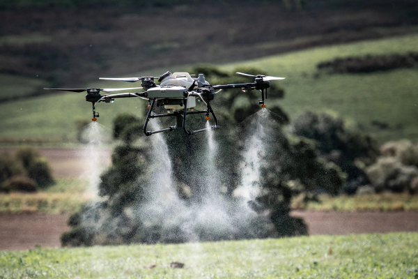 DJI Agras spraying drones.