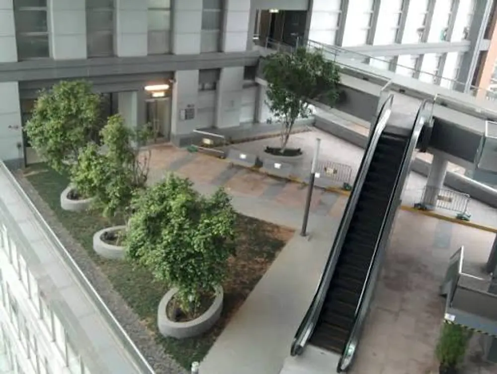 空中花園俯瞰油麻地
