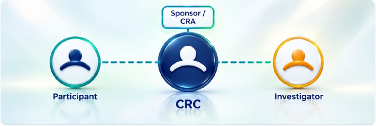 The CRC sits at the centre of the trial — connecting the participant, the investigator, and the sponsor/CRA.