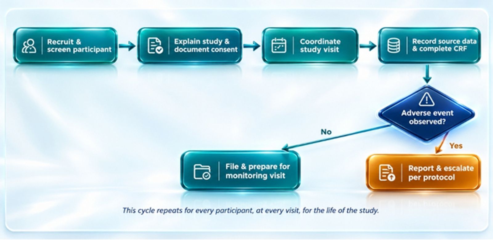 This Cycle repeats for every participant, at every visit, for the life of the study