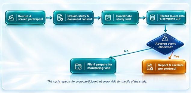 This Cycle repeats for every participant, at every visit, for the life of the study