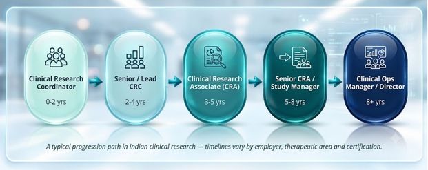 A typical Progression path in Clinical Research - timelines vary employer, therapeutic area and certification.